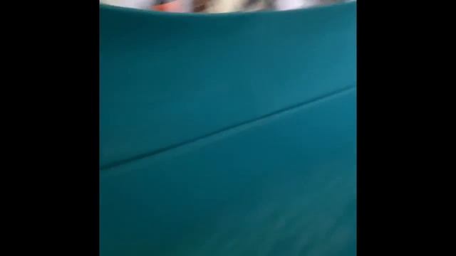 Vlog едем в аквапарк/ Тортик/ Посылка смотреть онлайн