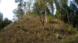 Городище «Лысая гора»