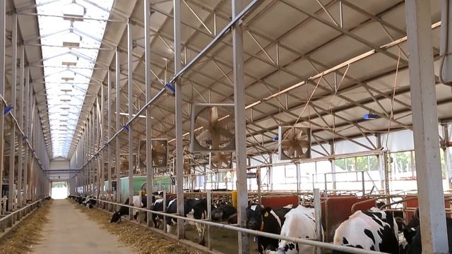 Сельское хозяйство презентация