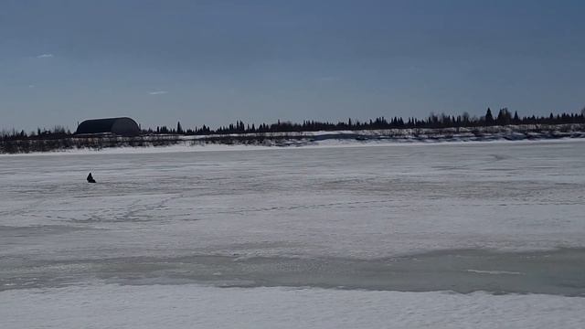 Сибирские просторы. Апрель. Томь перед ледоходом. Весна. Бабочки проснулись. смотреть онлайн