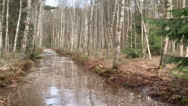 Одес 1000 Валит по воде смотреть онлайн