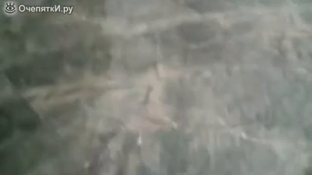 кот в тапочке смотреть онлайн