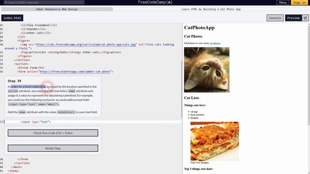 Free Code Camp Walkthrough 1 | HTML - Cat Photo App смотреть онлайн