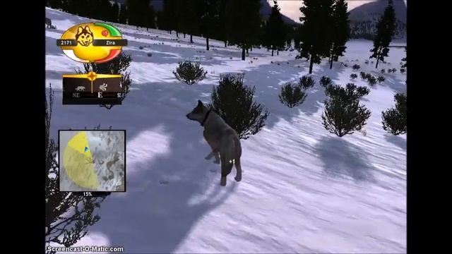 WolfQuest ~Gameplay~ Zira's Journey prt2 -Finiding a Den & Puppies!- смотреть онлайн