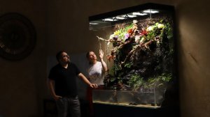 Открытый палюдариум с водопадом на 1350 литров.