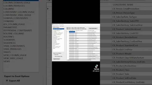 Export SQL Server Information_Schema Views to Excel смотреть онлайн