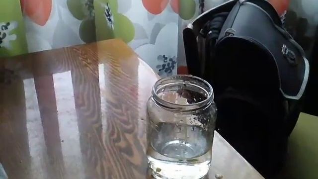 Мощность против пистолета смотреть онлайн