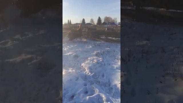 Рыжик смотреть онлайн