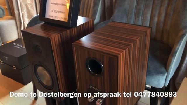 Canton GLE20 bookshelf loudspeakers, makassar смотреть онлайн