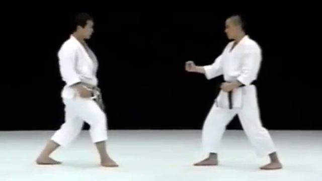 Masao Kagawa _ The Art of Kihon смотреть онлайн