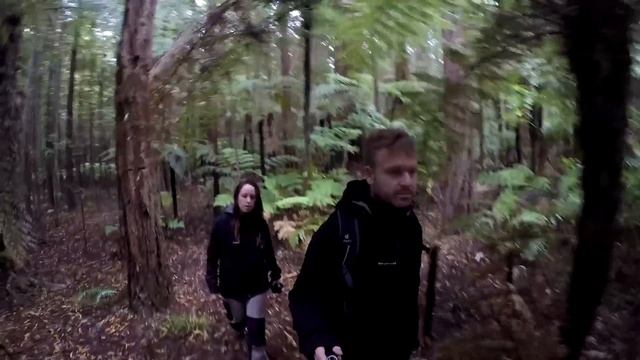 QUÉ VER en CANTABRIA ? Ruta por Cantabria en FURGONETA ? смотреть онлайн