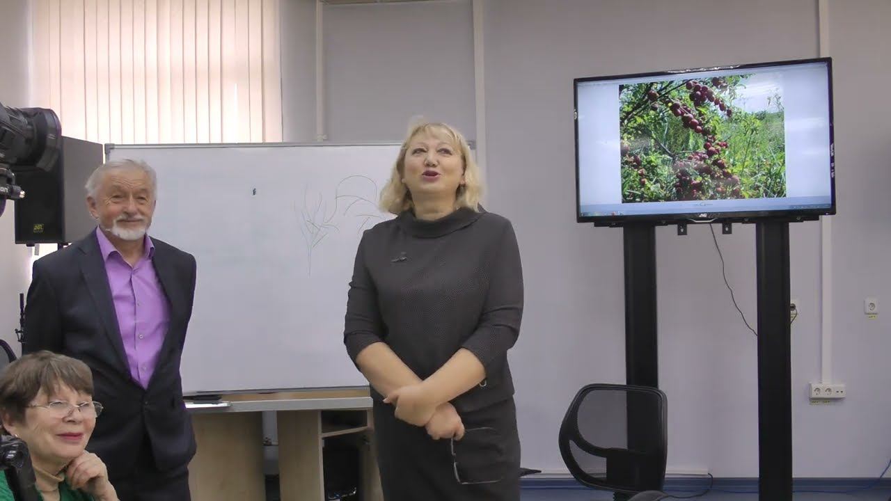 Лекция по сливе февраль 2024 г часть 2