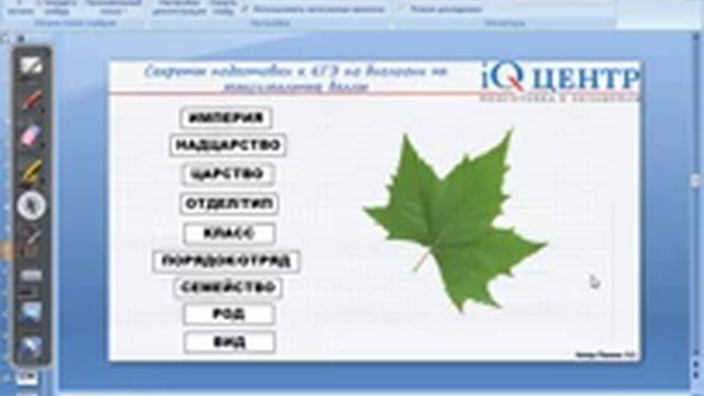 Царство Бактерии (ОГЭ)