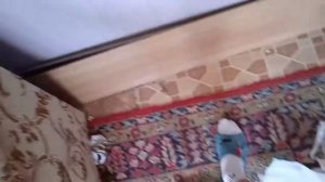 Полка из окна. Хорошая идея для оконной ниши.