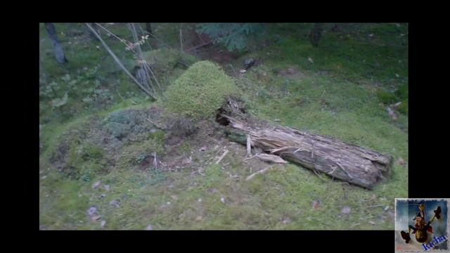 Тихо в лесу смотреть онлайн