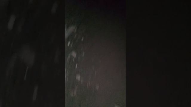 опять злой алабай пришол смотреть онлайн