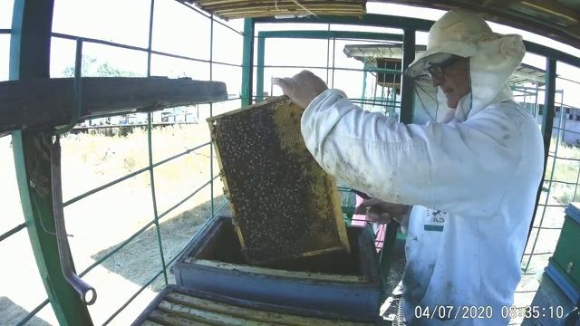 Остаться в _живых_ на кочевой пасеке.Результат-тест «узбечки»по майскому мёду..mp4 смотреть онлайн