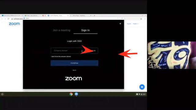 Unauthorized error message when logging into zoom смотреть онлайн