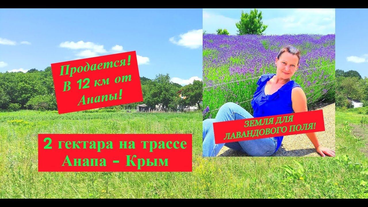2 гектара земли в 12 км от Анапы/Участок рядом с морем для туристического бизнеса/Недвижимость Анапа смотреть онлайн