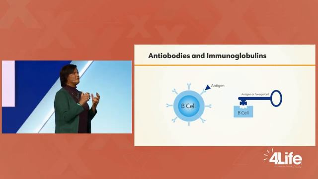 Что такое ТФ смотреть онлайн