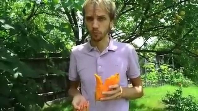 Момордика смотреть онлайн