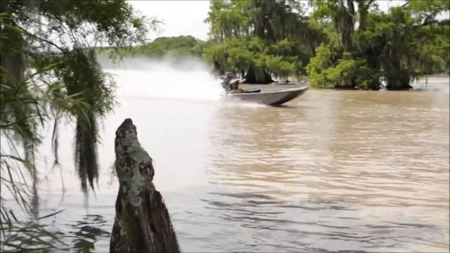 Gator Tail RUS Mod V Серия смотреть онлайн