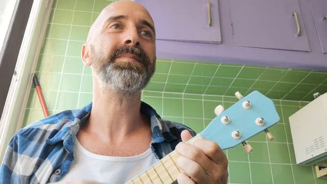 Sinatra "You Make Me Feel So Young" (UKULELE) смотреть онлайн