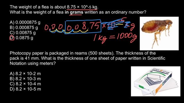Scientific notation Practice problems смотреть онлайн