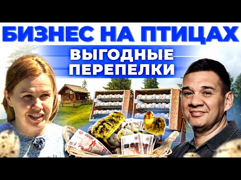 Яйца или мясо? | Сколько приносит птица и как заработать? Марина Алёхина | Андрей Даниленко. смотреть онлайн
