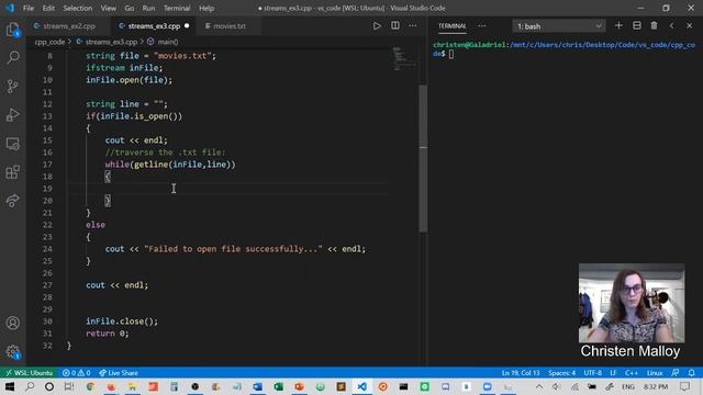 File I/O: search a file for specific input смотреть онлайн