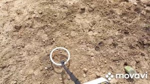 15 июля 2021 г. Что можно найти с помощью металлоискателя Астра-250. Любительский коп.