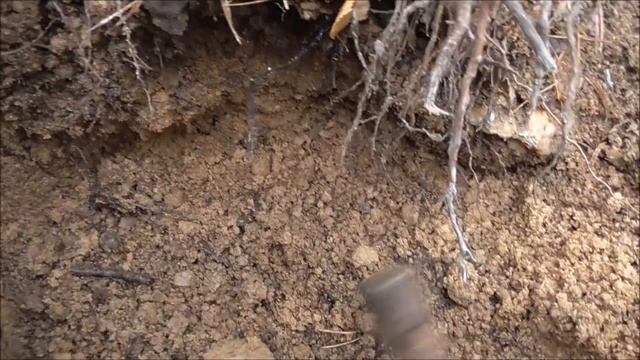 ХРУСТАЛЬНАЯ ГОРКА смотреть онлайн