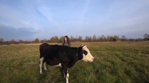 Вызов Охоты у Коровы ЭСТРОФАН