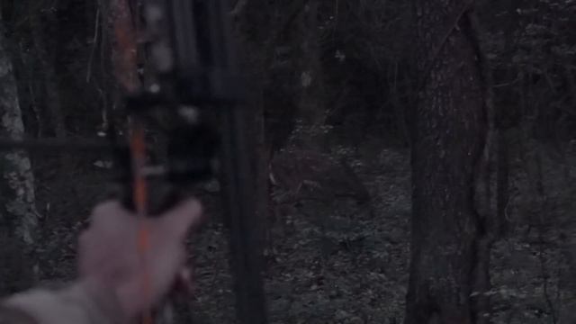 QUARTERING TO SHOTS!!! - Should YOU Take Them or Not?? | Bowhunting Deer смотреть онлайн