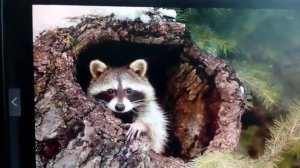 От улыбки станет всем теплей