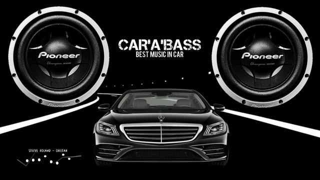 Stefre Roland - Cheetah