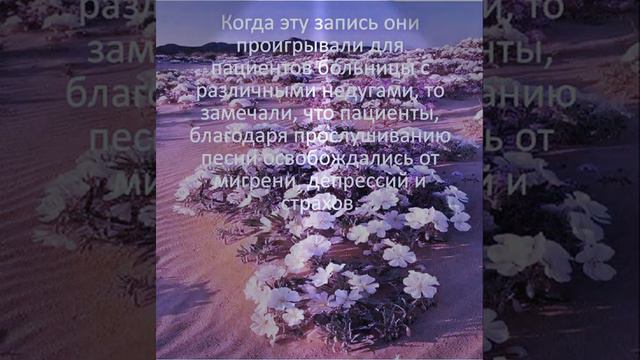 АВЕ МАРИЯ смотреть онлайн