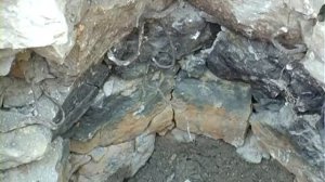 Крымские археологи ведут раскопки на месте обнаружения исторических артефактов