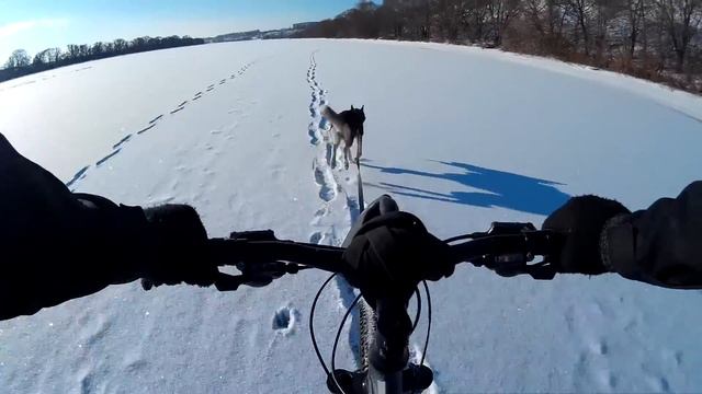 Свой дом - своими руками