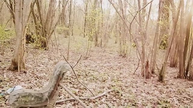 Зловещая история в лесу. ALEX PUCH. смотреть онлайн