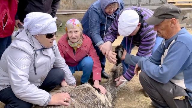 Видеожурнал №82 смотреть онлайн