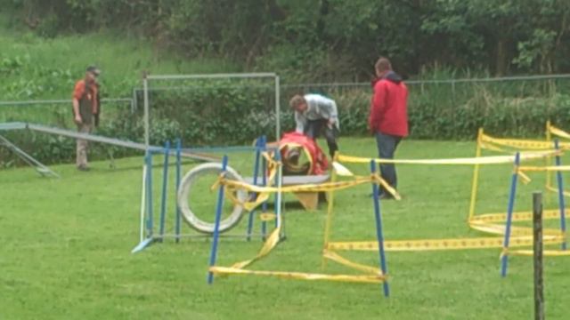 Irish Glen of Imaal Terrier Jake-aus-Berlin beim seinem Agility-Lauf Pfingsten 2013 смотреть онлайн