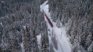 Он не хотел прощаться с жизнью. Таежные истории и байки. Случай в тайге рассказ