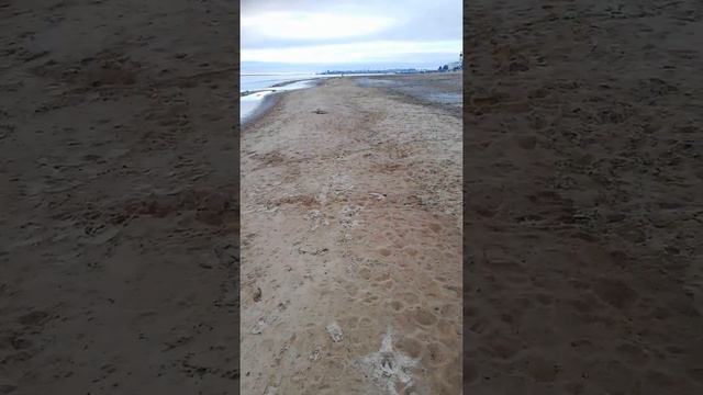 Река двина Архангельск смотреть онлайн