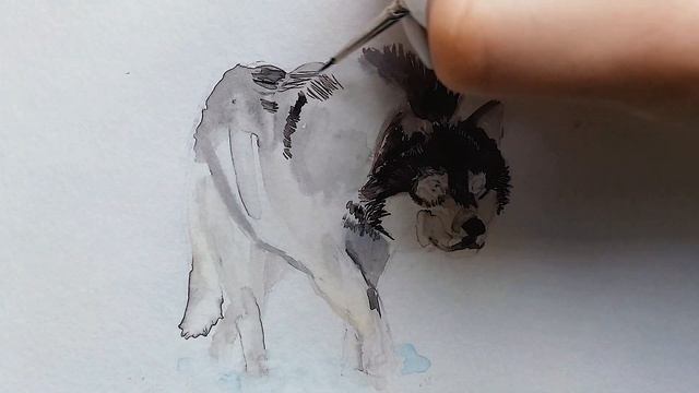 Волк- Самый Крупный Хищник! Рисуем Акварелью! Легко и Просто! смотреть онлайн