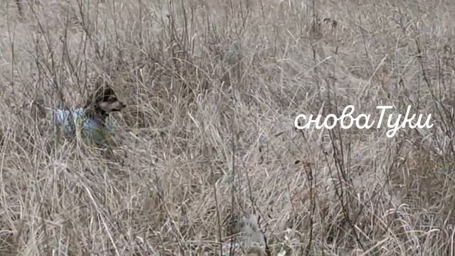 КАК Я ПОЗОРИЛАСЬ ПЕРЕД ЗАКАЗЧИКАМИ ? смотреть онлайн