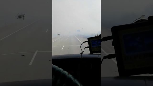 лесной пожар в Сибири 27.04 2022 смотреть онлайн