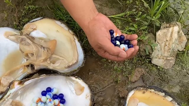 perfect! Never-before-seen freshwater mother-of-pearl caught under a bridge смотреть онлайн