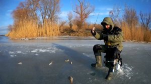 Ловля окуня на зимнюю блесну Лепесток.  Зимняя рыбалка со льда.