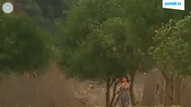 8-летний мальчик женился на пенсионерке PortALL NEWS смотреть онлайн